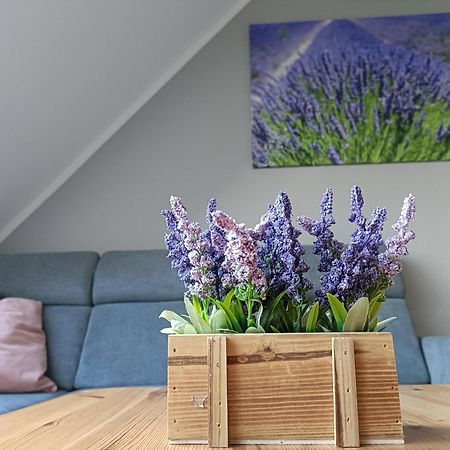 Apartament Morska Lawenda Свиноуйсьце Экстерьер фото